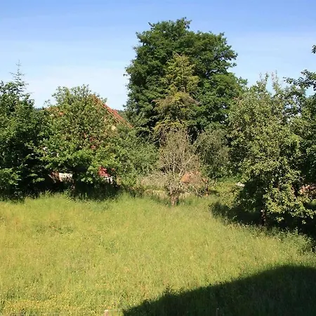 Hoerburger *